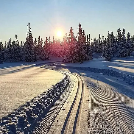 بيت للعطل Gorgeous In With Wifi Sjusjoen